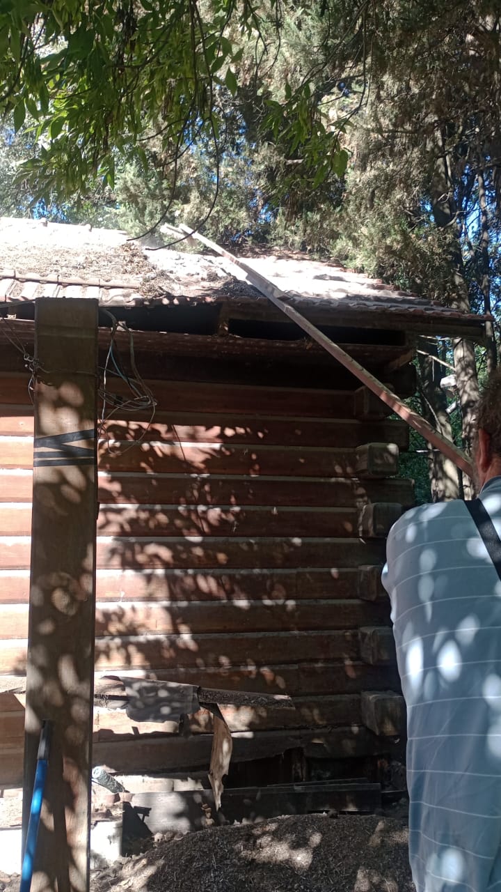 WhatsApp Image 2024-12-07 at 16.46.16.jpeg